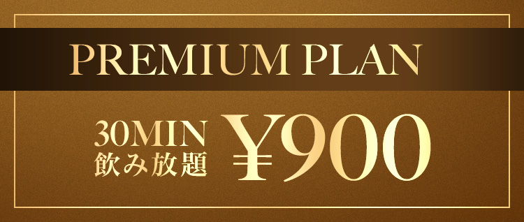 PREMIUM PLAN